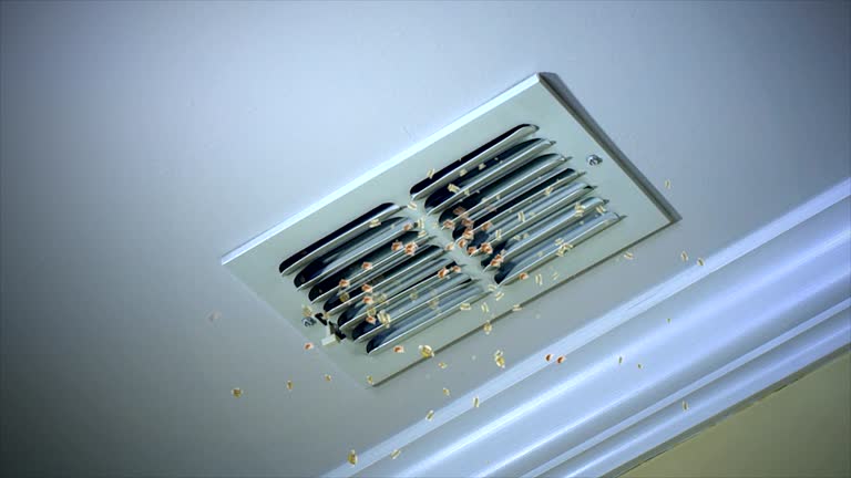 Best Air Duct Sanitizing Services  in Nescopeck, PA