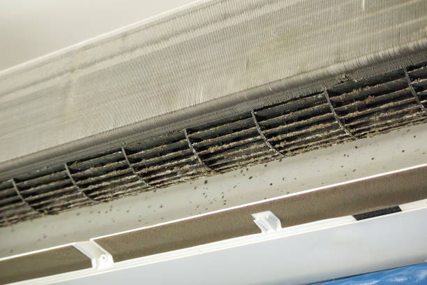 Best Affordable HVAC Duct Cleaning  in Nescopeck, PA